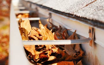 Bradlow gutter cleaning companies